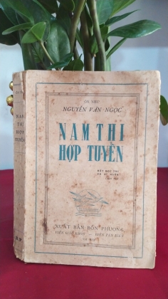 NAM THI HỢP TUYỂN