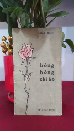 BÔNG HỒNG CÀI ÁO