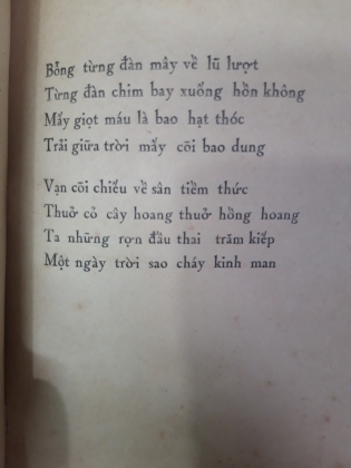 THIÊN THU CA - NGÔ NGUYÊN NGHIỄM