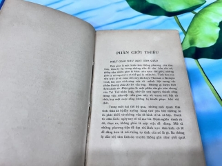 TINH HOA VÀ SỰ PHÁT TRIỂN CỦA ĐẠO PHẬT - NGUYỄN HỮU HIỆU