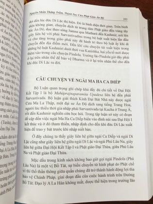 NGUYÊN NHÂN THĂNG TRẦM - THỊNH SUY CỦA PHẬT GIÁO ẤN ĐỘ - TRẦN QUANG THUẬN