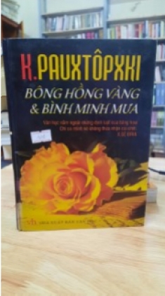 Bông hồng vàng và bình minh mưa 