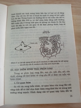 RONG MƠ VIỆT NAM - NGUỒN LỢI VÀ SỬ DỤNG