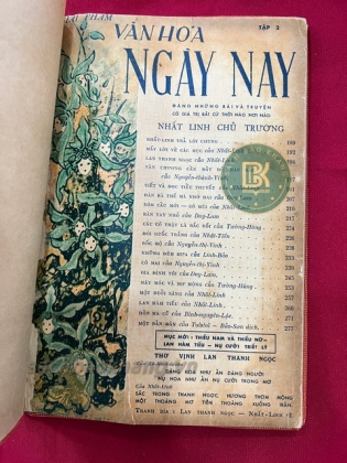 VĂN HOÁ NGÀY NAY - NHẤT LINH (TỰ LỰC VĂN ĐOÀN) TRỌN BỘ