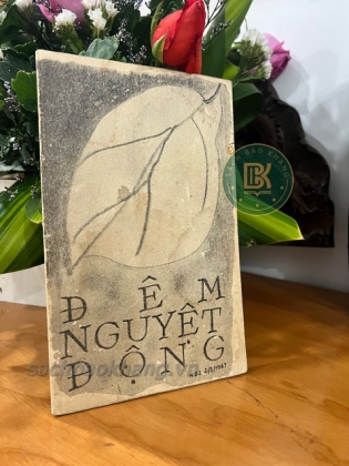 ĐÊM NGUYỆT ĐỘNG