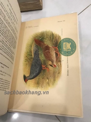 LES OISEAUX DE L'INDOCHINE FRANCAISE (TẠM DỊCH: CÁC LOÀI CHIM Ở XỨ ĐÔNG DƯƠNG) 