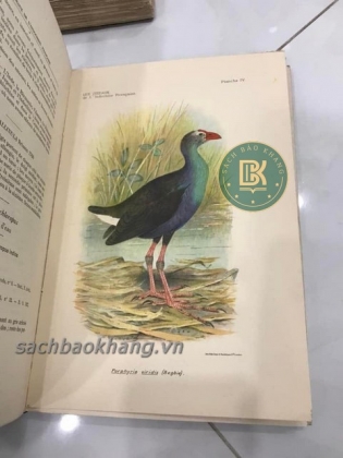 LES OISEAUX DE L&#39;INDOCHINE FRANCAISE (TẠM DỊCH: CÁC LOÀI CHIM Ở XỨ ĐÔNG DƯƠNG) 