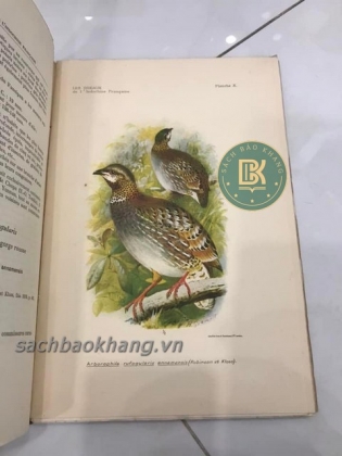 LES OISEAUX DE L&#39;INDOCHINE FRANCAISE (TẠM DỊCH: CÁC LOÀI CHIM Ở XỨ ĐÔNG DƯƠNG) 