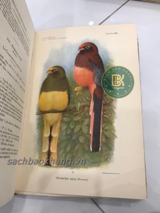 LES OISEAUX DE L'INDOCHINE FRANCAISE (TẠM DỊCH: CÁC LOÀI CHIM Ở XỨ ĐÔNG DƯƠNG) 