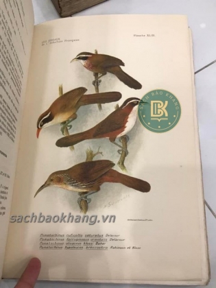 LES OISEAUX DE L&#39;INDOCHINE FRANCAISE (TẠM DỊCH: CÁC LOÀI CHIM Ở XỨ ĐÔNG DƯƠNG) 