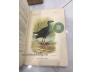 LES OISEAUX DE L&#39;INDOCHINE FRANCAISE (TẠM DỊCH: CÁC LOÀI CHIM Ở XỨ ĐÔNG DƯƠNG) 