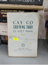 CÂY CỎ THƯỜNG THẤY Ở VIỆT NAM