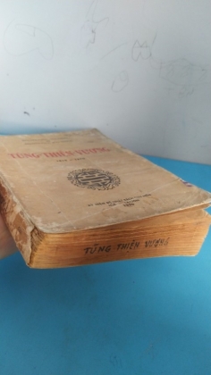 TÙNG THIỆN VƯƠNG