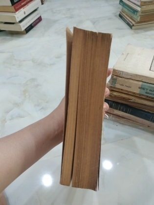 VĂN HỌC PHÂN TÍCH TOÀN THƯ
