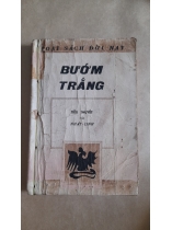 BƯỚM TRẮNG