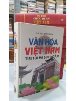 VĂN HÓA VIỆT NAM TÌM TÒI VÀ SUY NGẪM