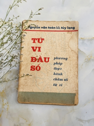 TỬ VI ĐẨU SỐ - TUÝ LANG NGUYỄN VĂN TOÀN