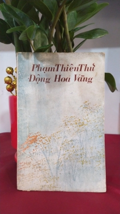  ĐỘNG HOA VÀNG