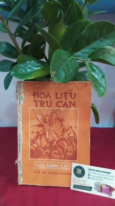 HOA LIỄU TRỪ CĂN