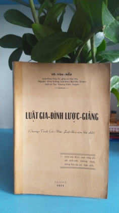 LUẬT GIA ĐÌNH LƯỢC GIẢNG