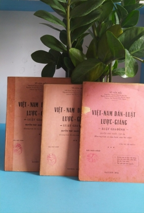 VIỆT NAM DÂN LUẬT LƯỢC GIẢNG - VŨ VĂN MẪU
