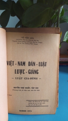 VIỆT NAM DÂN LUẬT LƯỢC GIẢNG - VŨ VĂN MẪU