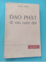 ĐẠO PHẬT ĐI VÀO CUỘC ĐỜI - NHẤT HẠNH (BẢN ĐẶC BIỆT)