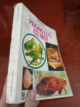 PHONG LƯU CŨ MỚI