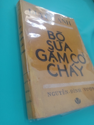 BÒ SỮA GẶM CỎ CHÁY 