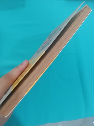  HEIDEGGER TRƯỚC SỰ PHÁ SẢN CỦA TƯ TƯỞNG TÂY PHƯƠNG - LÊ TÔN NGHIÊM