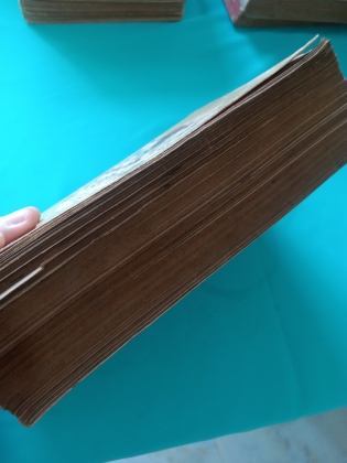 NGUỒN GỐC MÃ LAI CỦA DÂN TỘC VIỆT NAM - BÌNH NGUYÊN LỘC