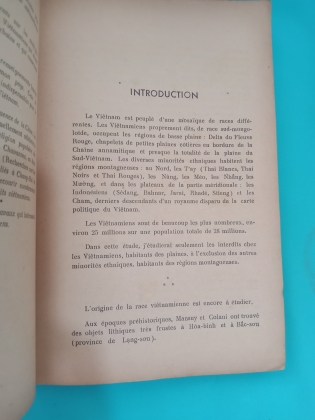 ESQUISSE D'UNE ÉTUDE SUR LES INTERDITS CHEZ LES VIETNAMIENS