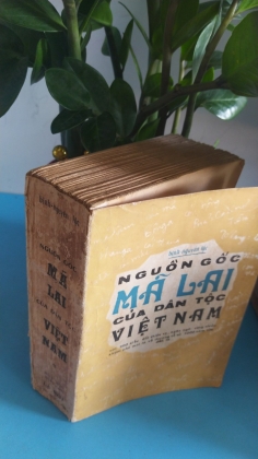 NGUỒN GỐC MÃ LAI CỦA DÂN TỘC VIỆT NAM - BÌNH NGUYÊN LỘC