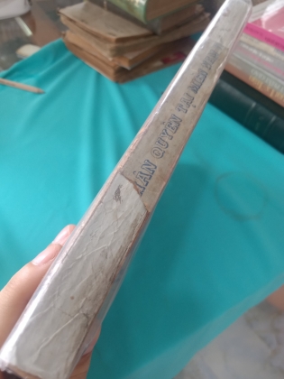 VI PHẠM NHÂN QUYỀN TẠI MIỀN NAM VIỆT NAM - VÕ ĐÌNH CƯỜNG