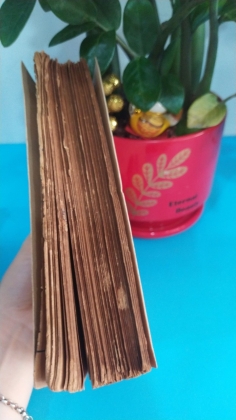 TRUNG QUỐC SỬ LƯỢC
