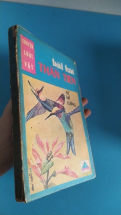 BÀI HÁT THẦN TIÊN - từ kế tường 
