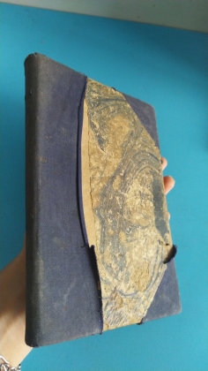 NGÀY QUA BÓNG TỐI
