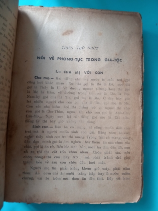 VIỆT NAM PHONG TỤC - PHAN KẾ BÍNH