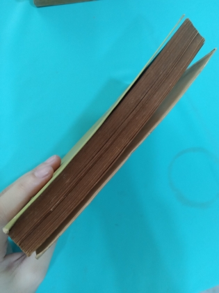 LƯỢC SỬ PHẬT GIÁO ẤN ĐỘ - THÍCH THANH KIỂM
