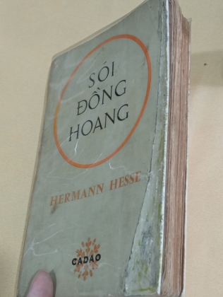 SÓI ĐỒNG HOANG - HERMANN HESSE (CHƠN HẠNH VÀ PHÙNG THĂNG DỊCH)
