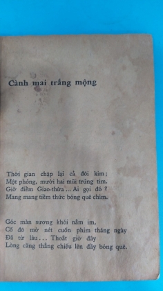 CÀNH MAI TRẮNG MỘNG