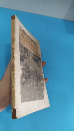 CÀNH MAI TRẮNG MỘNG