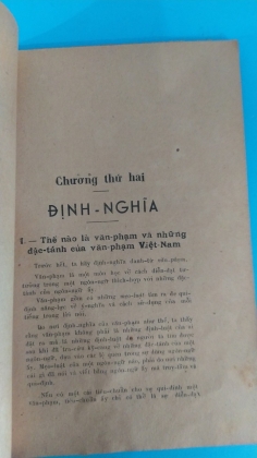NHỮNG NHẬN XÉT VỀ VĂN PHẠM VIỆT NAM - BÙI ĐỨC TỊNH