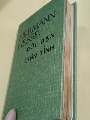 ĐÔI BẠN CHÂN TÌNH - hermann hesse