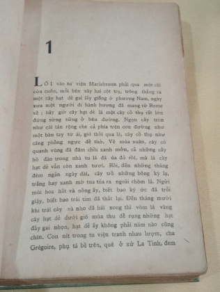 ĐÔI BẠN CHÂN TÌNH - hermann hesse