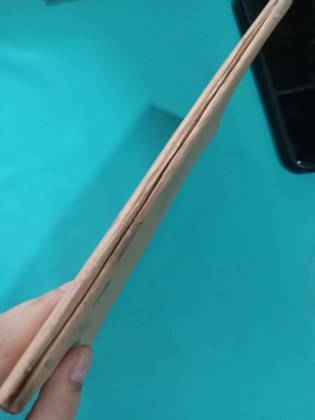 ĐỀ CƯƠNG GIẢNG "LỊCH SỬ TIÊN HÓA NHÂN LOẠI"