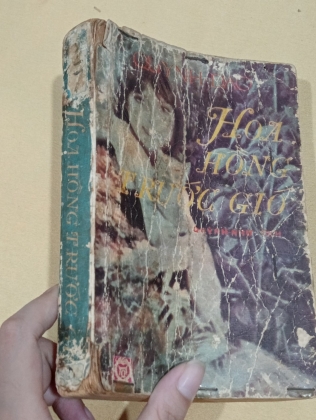 HOA HỒNG TRƯỚC GIÓ