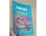 THẦN TƯỢNG LẠ - THOMAS MANN (NGUYỄN TỬ LỘC DỊCH)