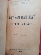 VIỆT NAM DÂN LUẬT LƯỢC KHẢO