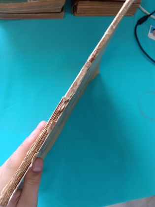 MÙA CỔ ĐIỂN